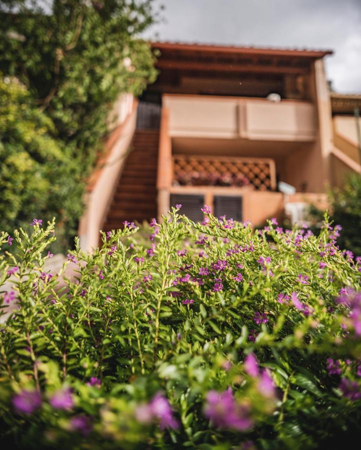 Purple House, 30M To Beach Pula Bagian luar foto